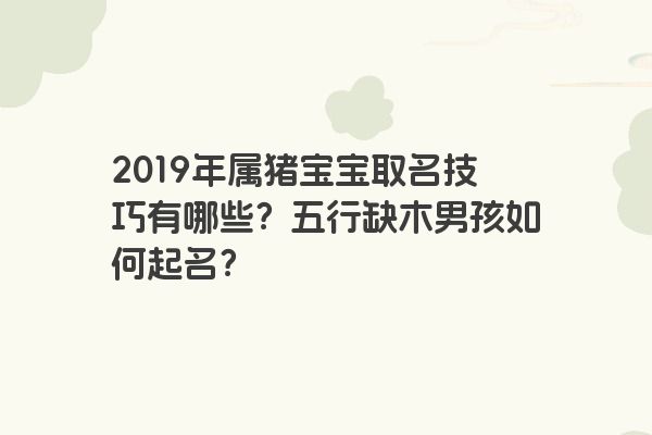 2019年属猪宝宝取名技巧有哪些？五行缺木男孩如何起名？