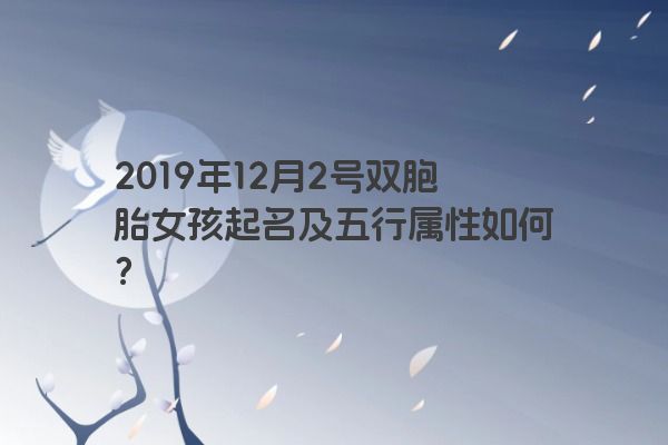 2019年12月2号双胞胎女孩起名及五行属性如何？