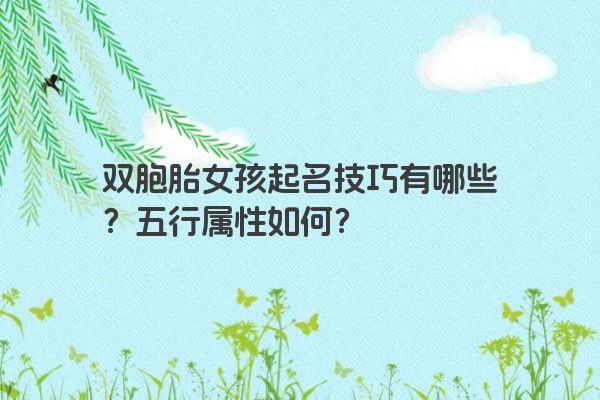 双胞胎女孩起名技巧有哪些？五行属性如何？
