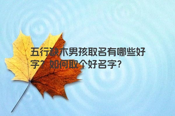 五行缺木男孩取名有哪些好字？如何取个好名字？