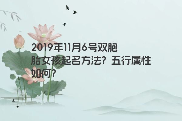 2019年11月6号双胞胎女孩起名方法？五行属性如何？