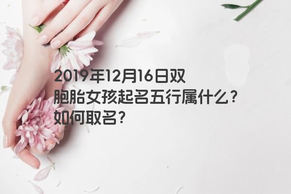 2019年12月16日双胞胎女孩起名五行属什么？如何取名？