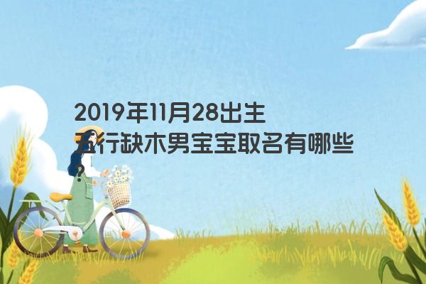 2019年11月28出生五行缺木男宝宝取名有哪些？