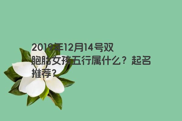 2019年12月14号双胞胎女孩五行属什么？起名推荐？