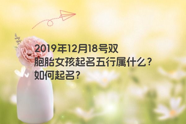2019年12月18号双胞胎女孩起名五行属什么？如何起名？