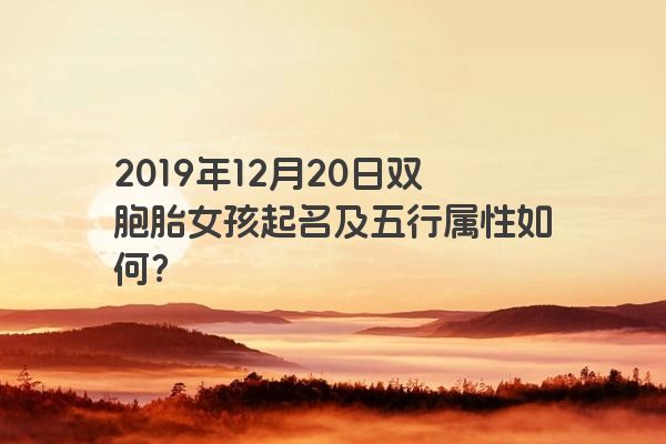 2019年12月20日双胞胎女孩起名及五行属性如何？