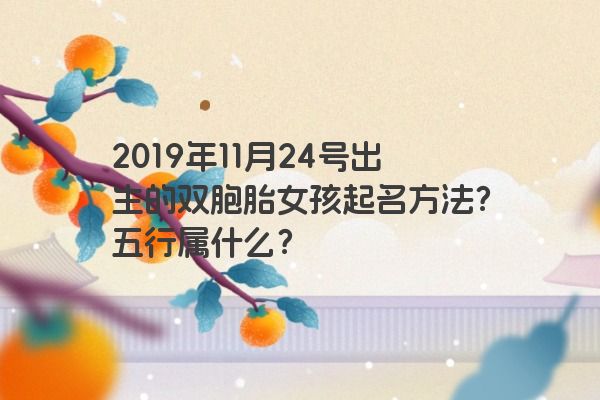 2019年11月24号出生的双胞胎女孩起名方法？五行属什么？