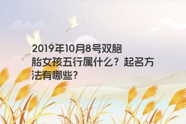 2019年10月8号双胞胎女孩五行属什么？起名方法有哪些？