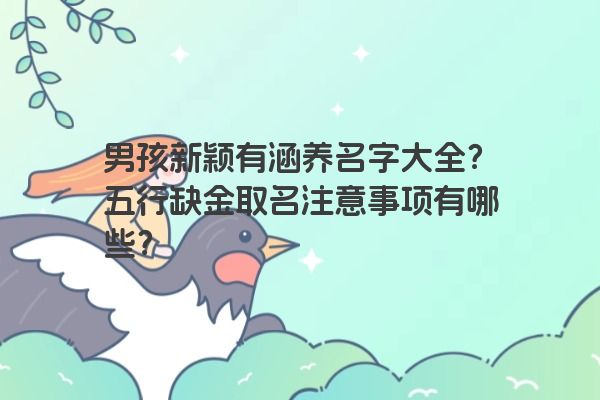 男孩新颖有涵养名字大全？五行缺金取名注意事项有哪些？
