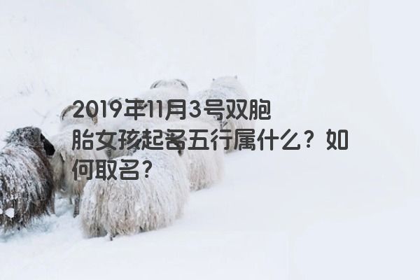 2019年11月3号双胞胎女孩起名五行属什么？如何取名？