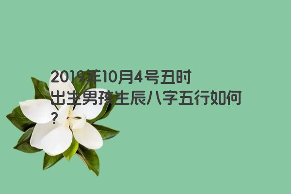 2019年10月4号丑时出生男孩生辰八字五行如何？