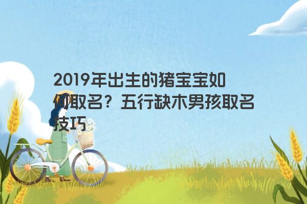 2019年出生的猪宝宝如何取名？五行缺木男孩取名技巧