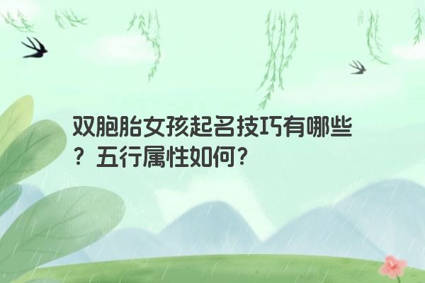双胞胎女孩起名技巧有哪些？五行属性如何？