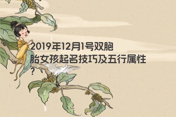 2019年12月1号双胞胎女孩起名技巧及五行属性？