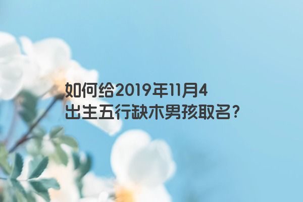 如何给2019年11月4出生五行缺木男孩取名？