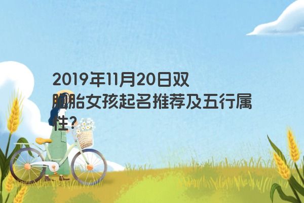2019年11月20日双胞胎女孩起名推荐及五行属性？