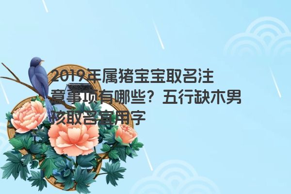 2019年属猪宝宝取名注意事项有哪些？五行缺木男孩取名宜用字