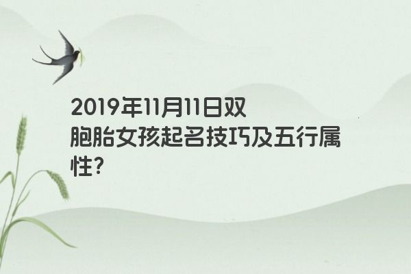 2019年11月11日双胞胎女孩起名技巧及五行属性？
