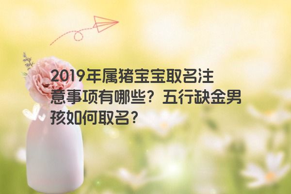 2019年属猪宝宝取名注意事项有哪些？五行缺金男孩如何取名？