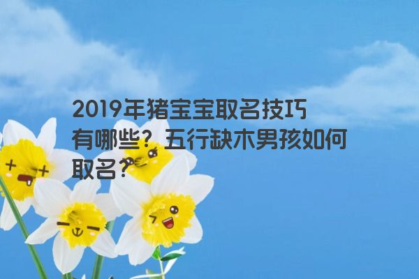 2019年猪宝宝取名技巧有哪些？五行缺木男孩如何取名？