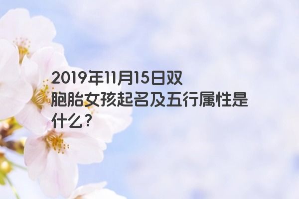 2019年11月15日双胞胎女孩起名及五行属性是什么？