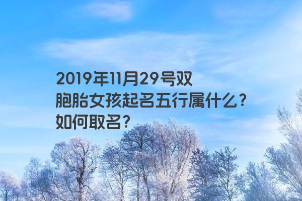 2019年11月29号双胞胎女孩起名五行属什么？如何取名？