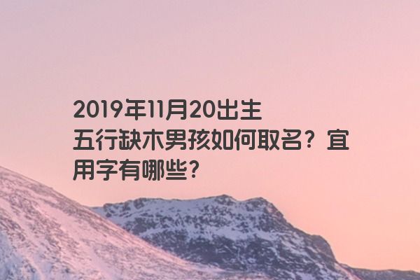 2019年11月20出生五行缺木男孩如何取名？宜用字有哪些？
