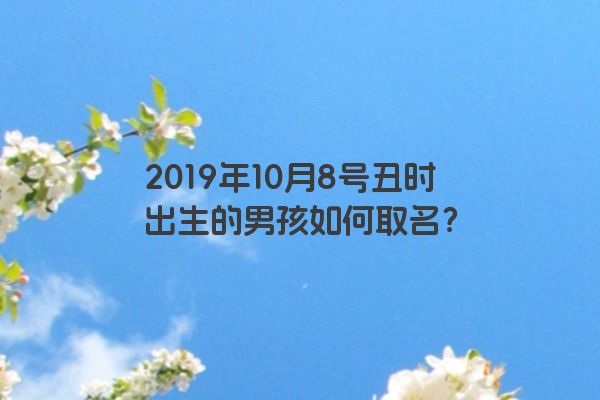 2019年10月8号丑时出生的男孩如何取名？