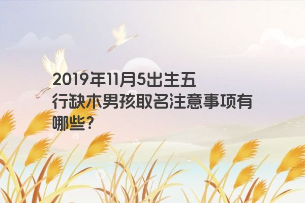 2019年11月5出生五行缺木男孩取名注意事项有哪些？
