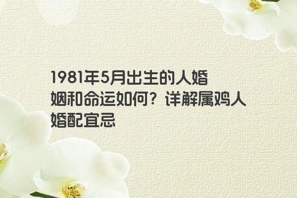 1981年5月出生的人婚姻和命运如何？详解属鸡人婚配宜忌