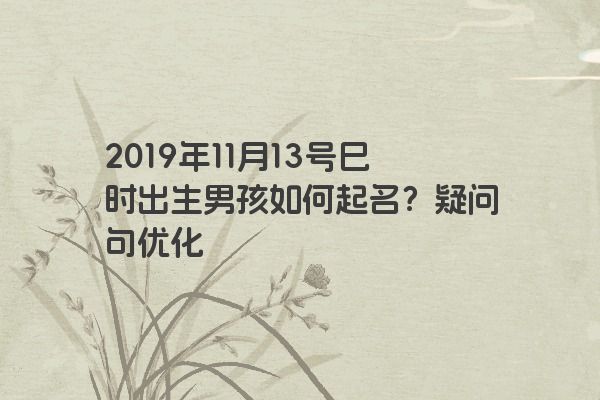 2019年11月13号巳时出生男孩如何起名？疑问句优化