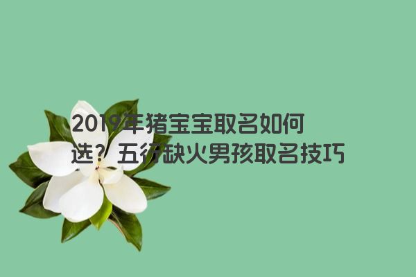 2019年猪宝宝取名如何选？五行缺火男孩取名技巧