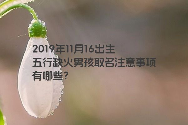 2019年11月16出生五行缺火男孩取名注意事项有哪些？