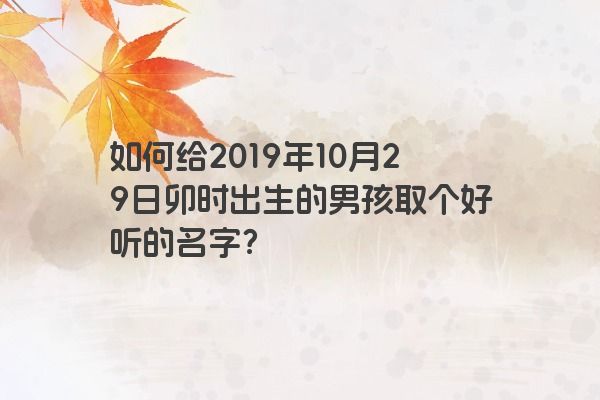 如何给2019年10月29日卯时出生的男孩取个好听的名字？