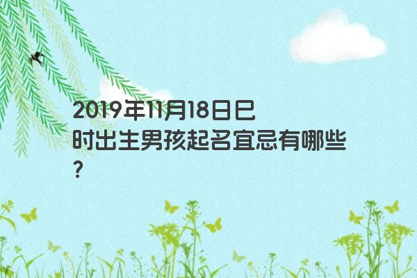 2019年11月18日巳时出生男孩起名宜忌有哪些？