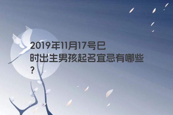 2019年11月17号巳时出生男孩起名宜忌有哪些？