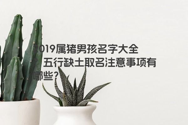 2019属猪男孩名字大全？五行缺土取名注意事项有哪些？