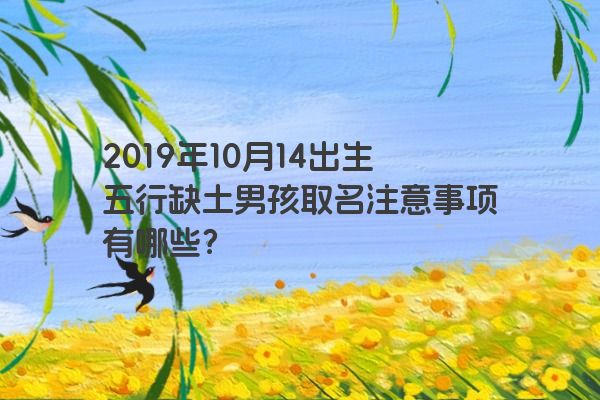 2019年10月14出生五行缺土男孩取名注意事项有哪些？
