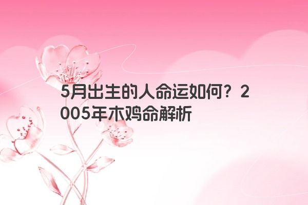 2005年5月出生的人命运怎么样？有福气吗？