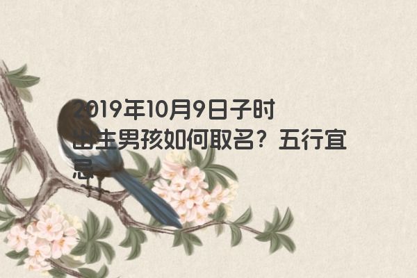 2019年10月9日子时出生男孩如何取名？五行宜忌