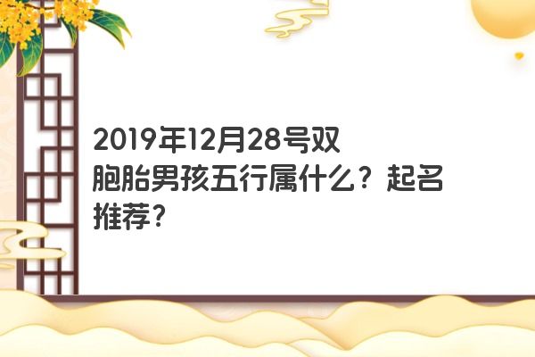 2019年12月28号双胞胎男孩五行属什么？起名推荐？
