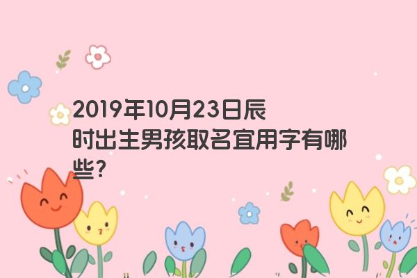 2019年10月23日辰时出生男孩取名宜用字有哪些？
