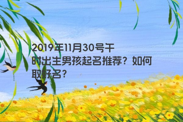 2019年11月30号午时出生男孩起名推荐？如何取好名？