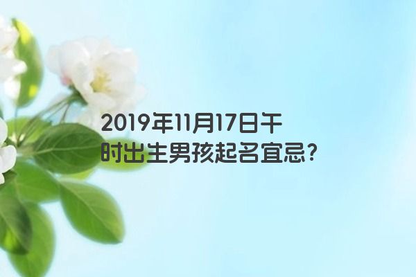 2019年11月17日午时出生男孩起名宜忌？