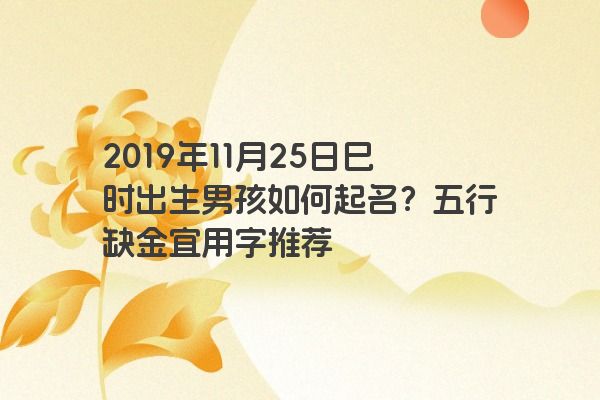 2019年11月25日巳时出生男孩如何起名？五行缺金宜用字推荐