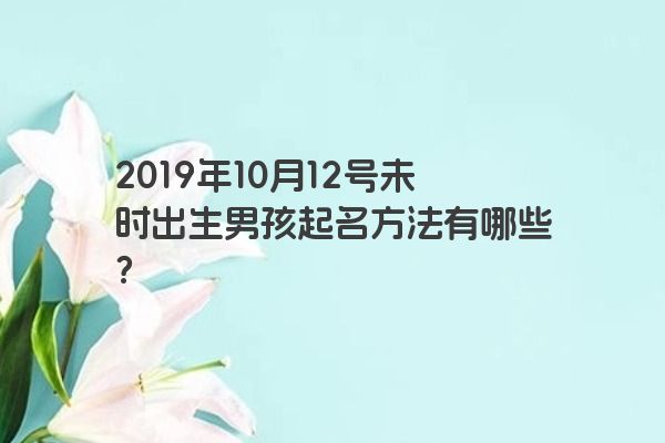 2019年10月12号未时出生男孩起名方法有哪些？