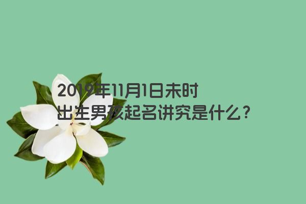 2019年11月1日未时出生男孩起名讲究是什么？