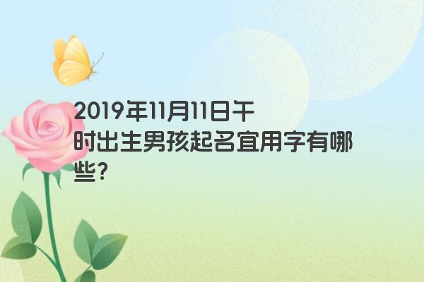 2019年11月11日午时出生男孩起名宜用字有哪些？