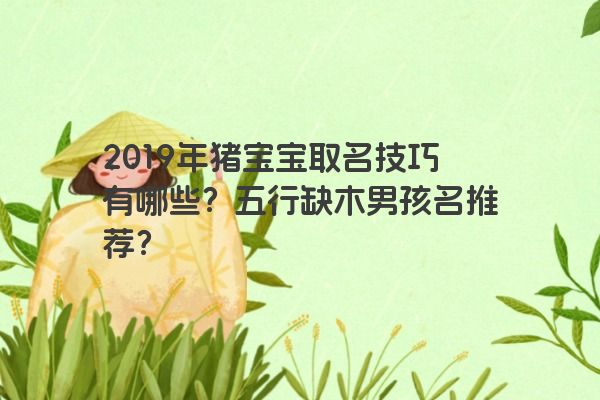 2019年猪宝宝取名技巧有哪些？五行缺木男孩名推荐？