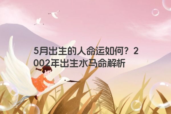 5月出生的人命运如何？2002年出生水马命解析